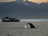 Pictures of New Zealand: Whale watching, at Kaikoura, in the South Island