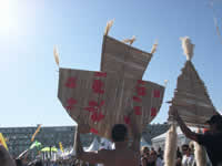 Maori kites