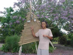 Maori kite