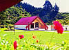 A Marae in Northland